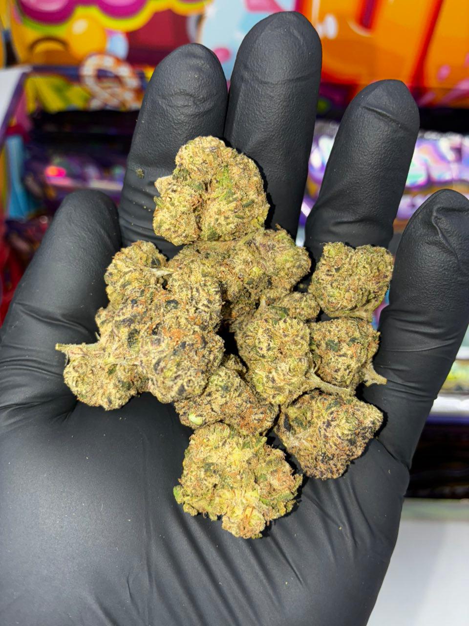 WhatsApp Image 2025-10-08 at 16.18.26_7cf33933 sweetz exotic weed