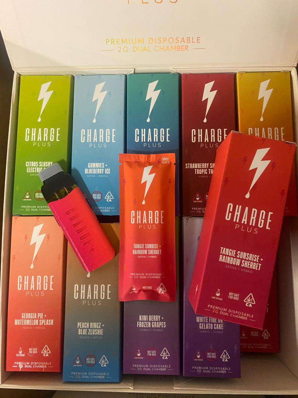 WhatsApp Image 2025-10-10 at 17.14.31_944a2f37