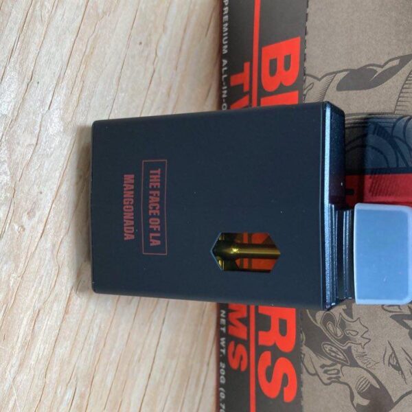 blinkers the face of la 2g disposable