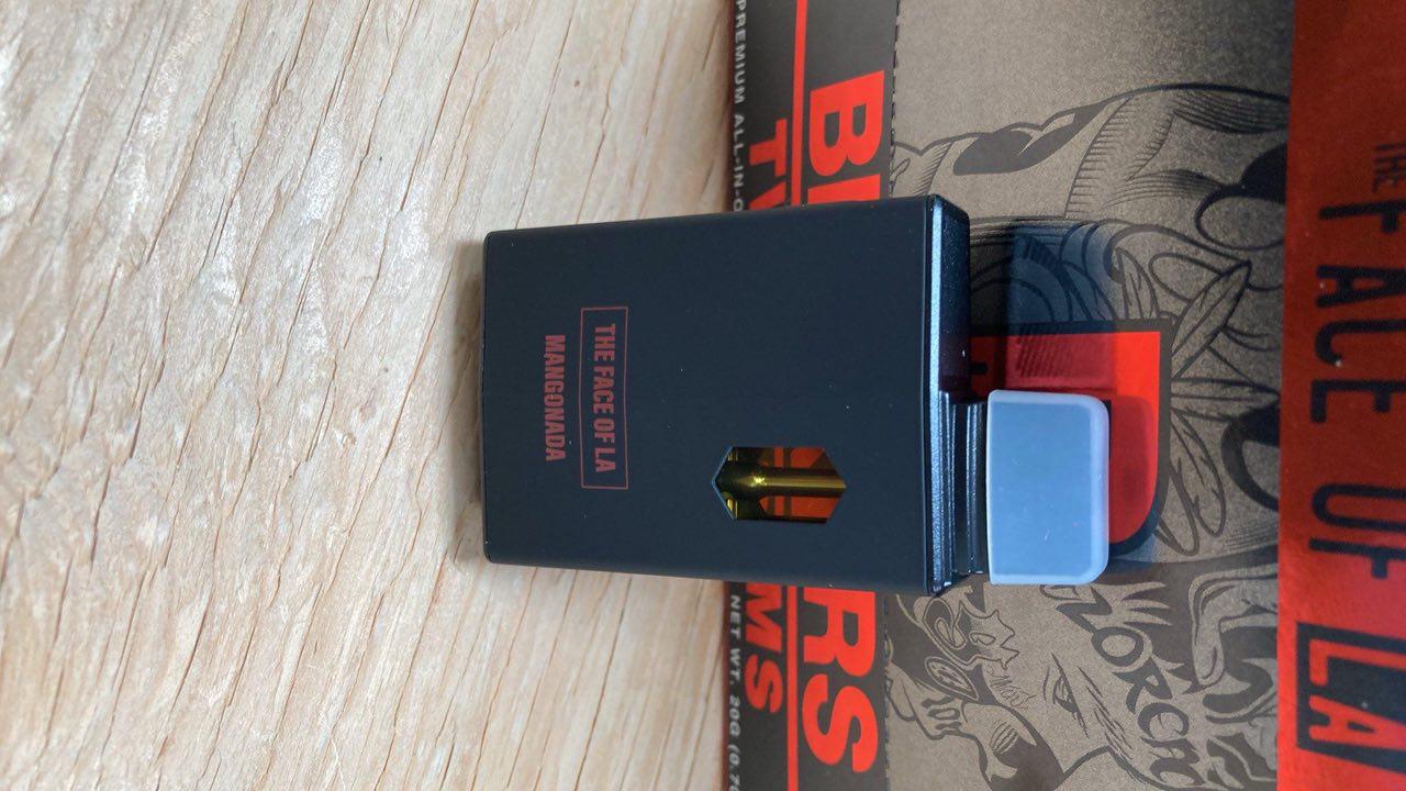 WhatsApp Image 2025-10-14 at 17.02.07_de7fecf6 blinkers the face of la 2g disposable