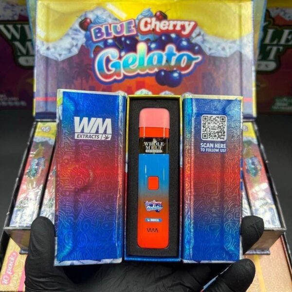 whole melt v5 2g disposable